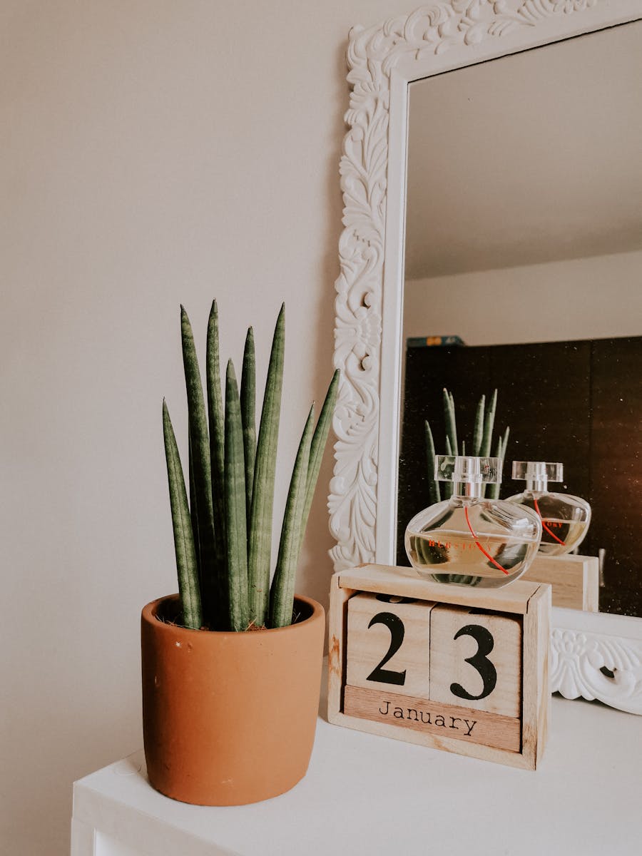 Brown Wooden Table With Green Plant